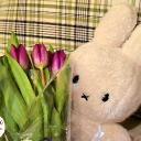 avatar ˗ˏˋ - 𝒎𝒂𝒆 - ˎˊ˗