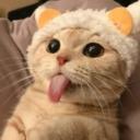 avatar gendut 𐙚⋆°｡⋆♡