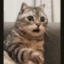 prabaha#3792's avatar