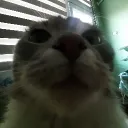 setlore_