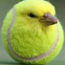 avatar Lendrick Kamar