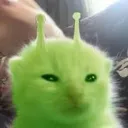 kitts.space