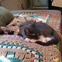 kittiegirl
