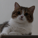Discord Avatar