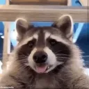 siriusdv