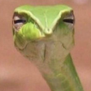 Discord Avatar