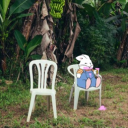 avatar Niezla koxuwa