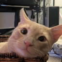 avatar nekonomicon_01