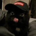 enshrkad