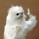 ppf.
