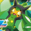 pokez
