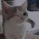 mirurln avatar