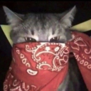 avatar Randomname919191919