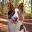 avatar YokkiDokkiPokki