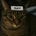 ilybidtybciwytbhp