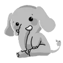 elephant__