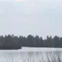 kuraiiwolf