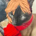 seanogark