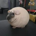 seanogark