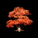 firemaplegames