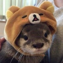 avatar 𐙚⋆.˚ aza ˚୨୧⋆｡˚ ⋆