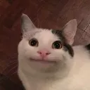 bewuga