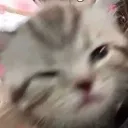 _leyoo