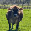 farmgirl_