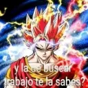 ragno4524
