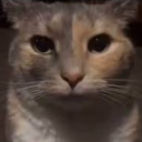 avatar SvelteKernmagne