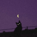 avatar Nathaniel🌙