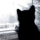 avatar ٴٴٴٴٴٴٴٴٴٴٴٴٴٴ