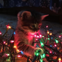 avatar ٴٴٴٴٴٴٴٴٴٴٴٴٴٴ