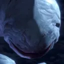 romuluas