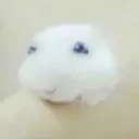 bluetubi