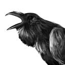 daniyalafra