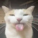 reboxy