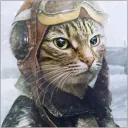 captaincats42