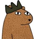 stbear