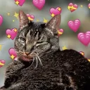 bethykitty