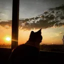 tiredreadr
