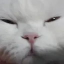 wuwu5977