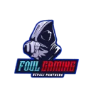 npxfoulgaming