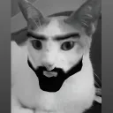 superbedri