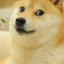 tefgtf