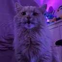 kuleemine