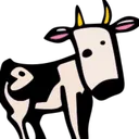 runarcn