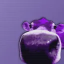 runarcn