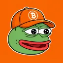 viniciusborg