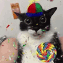 mrmeowzz